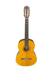 TAKAMINE G-126 CLASSICAL GUITAR WITH CASE (IE-KED